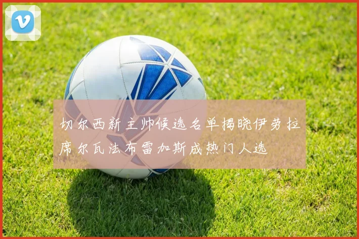 切尔西新主帅候选名单揭晓伊劳拉席尔瓦法布雷加斯成热门人选