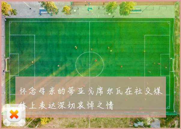 怀念母亲的蒂亚戈席尔瓦在社交媒体上表达深切哀悼之情